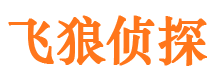 民丰飞狼私家侦探公司